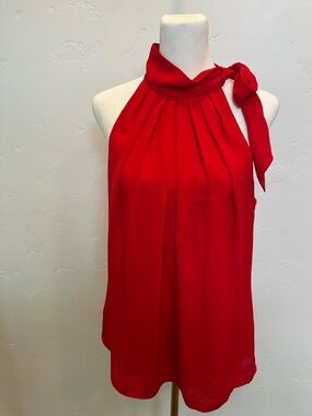 Express Red Halter Tie-Neck Camisole